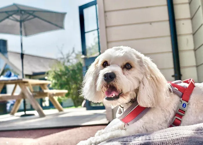 Station touristique Les Ormes 5*