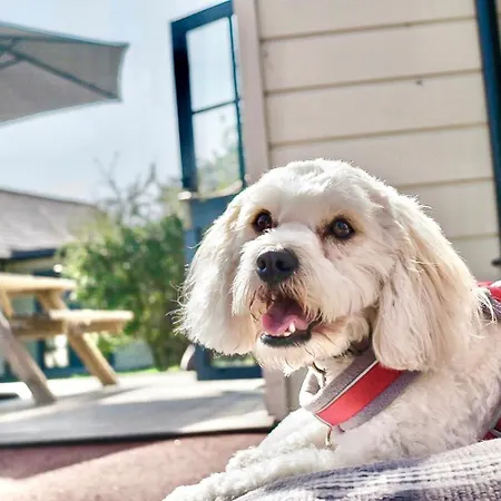 リゾート Les Ormes 5*